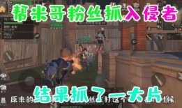 原神鸡哥爆料视频大全,揭秘游戏幕后故事与精彩瞬间